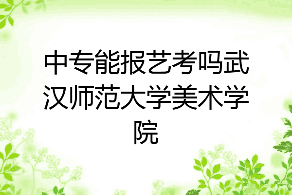 中专能报艺考吗武汉师范大学美术学院
