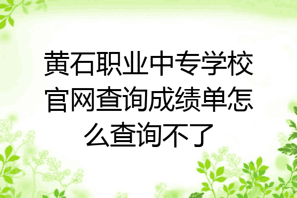 黄石职业中专学校官网查询成绩单怎么查询不了