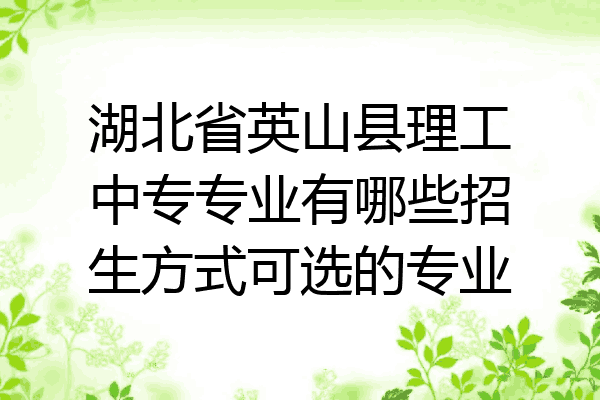 湖北省英山县理工中专专业有哪些招生方式可选的专业