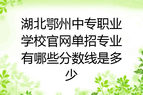 湖北鄂州中专职业学校官网单招专业有哪些分数线是多少