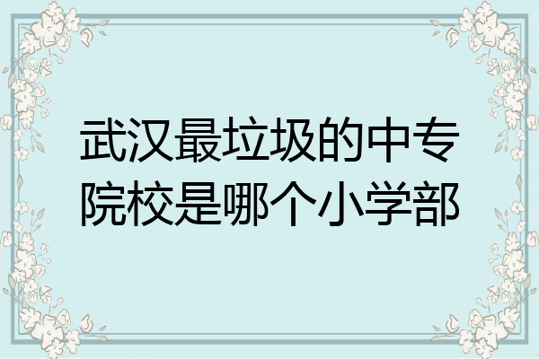 武汉最垃圾的中专院校是哪个小学部