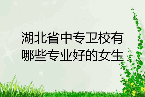 湖北省中专卫校有哪些专业好的女生