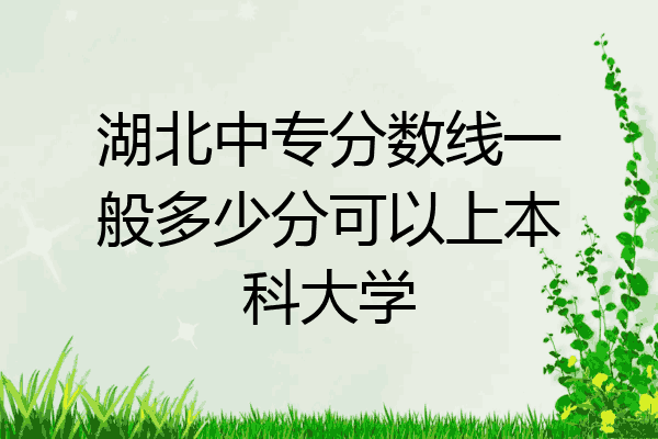 湖北中专分数线一般多少分可以上本科大学