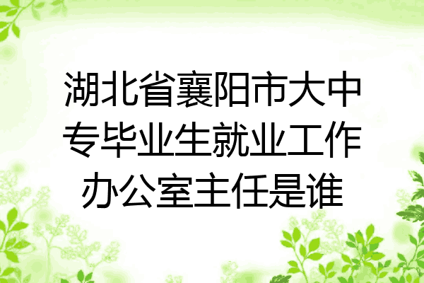 湖北省襄阳市大中专毕业生就业工作办公室主任是谁