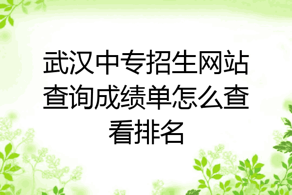 武汉中专招生网站查询成绩单怎么查看排名
