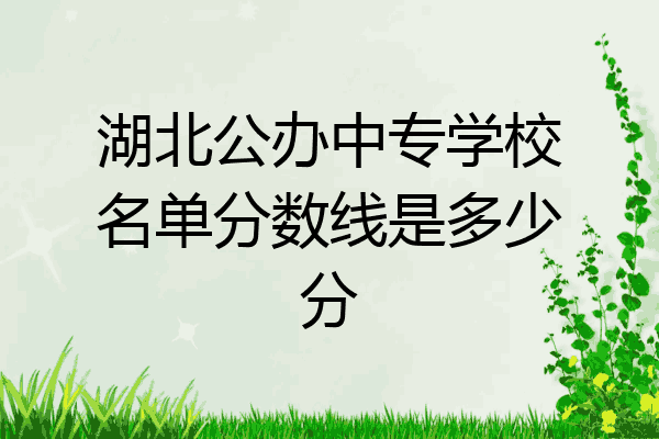 湖北公办中专学校名单分数线是多少分