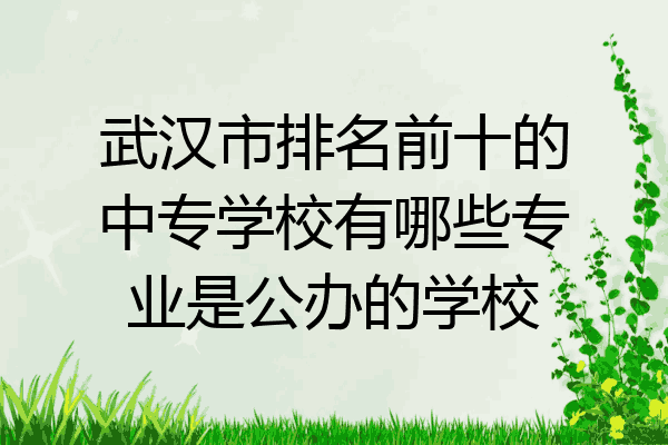武汉市排名前十的中专学校有哪些专业是公办的学校