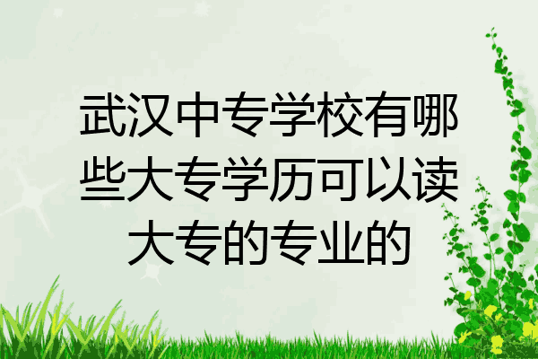 武汉中专学校有哪些大专学历可以读大专的专业的