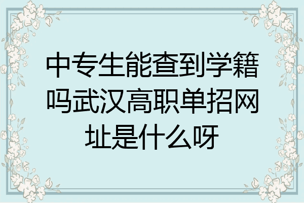 中专生能查到学籍吗武汉高职单招网址是什么呀