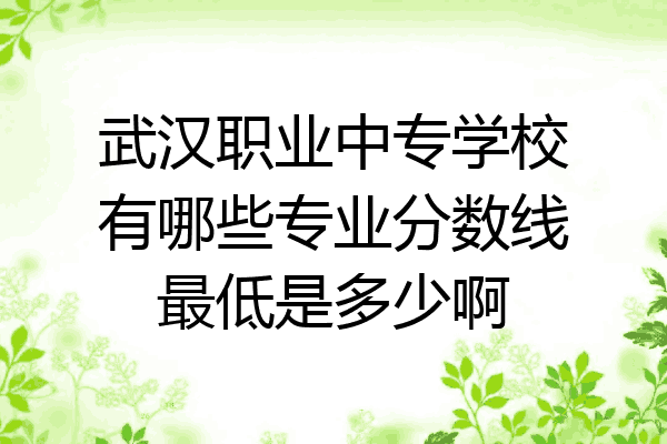 武汉职业中专学校有哪些专业分数线最低是多少啊