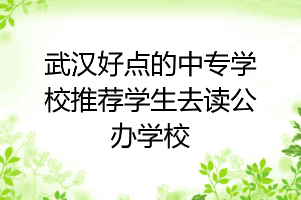 武汉好点的中专学校推荐学生去读公办学校