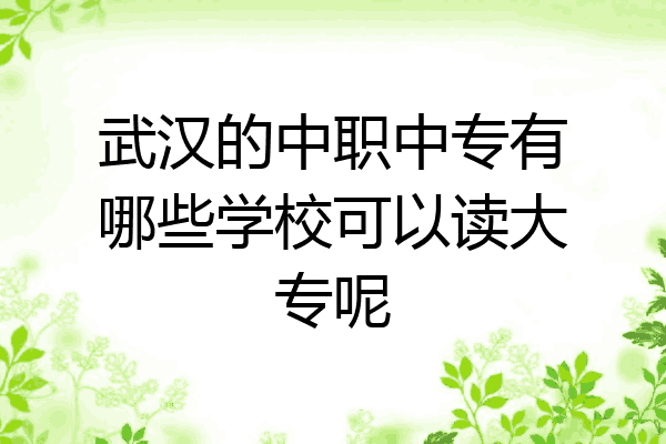 武汉的中职中专有哪些学校可以读大专呢