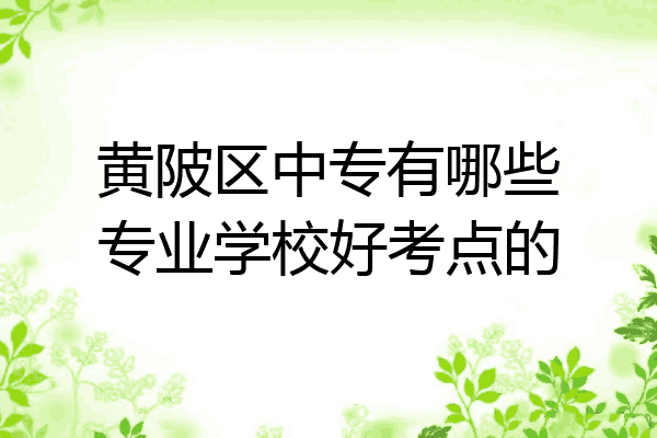 黄陂区中专有哪些专业学校好考点的