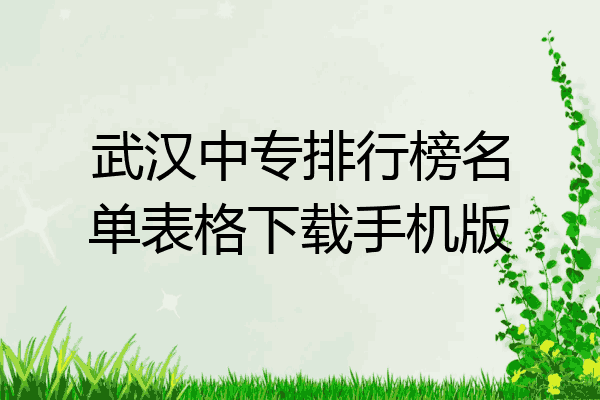 武汉中专排行榜名单表格下载手机版