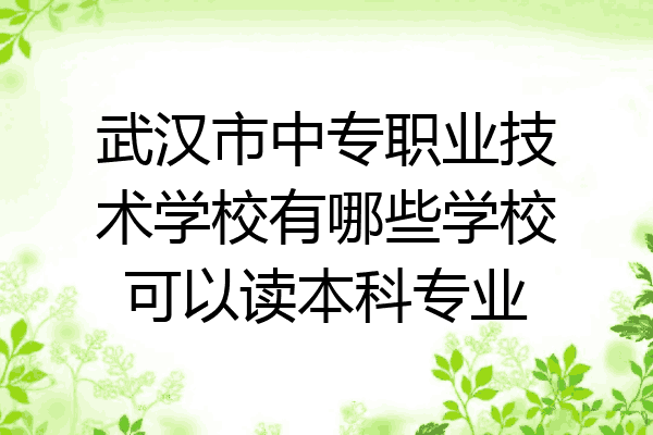 武汉市中专职业技术学校有哪些学校可以读本科专业