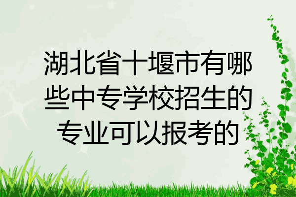 湖北省十堰市有哪些中专学校招生的专业可以报考的