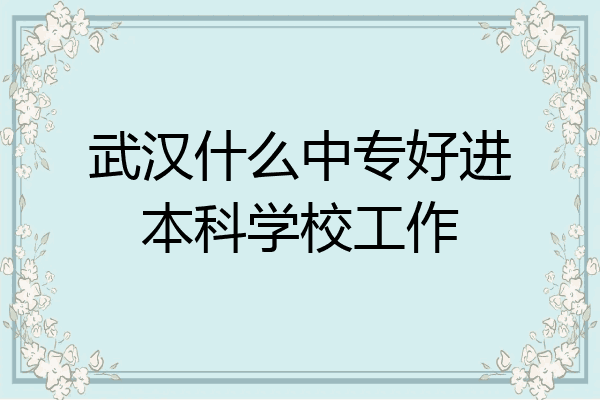 武汉什么中专好进本科学校工作