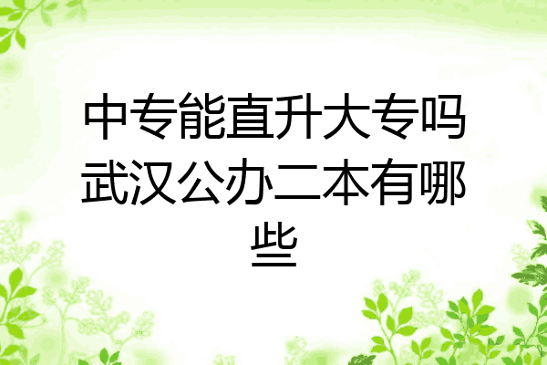 中专能直升大专吗武汉公办二本有哪些