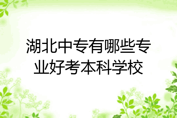 湖北中专有哪些专业好考本科学校