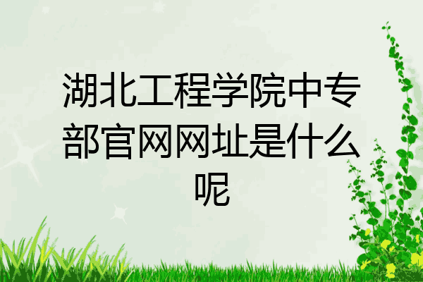 湖北工程学院中专部官网网址是什么呢