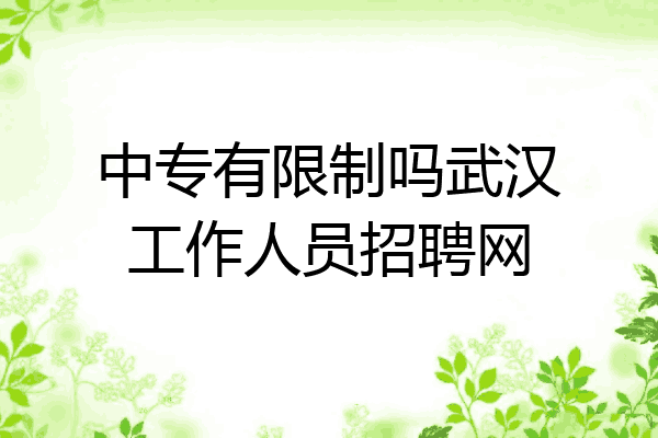 中专有限制吗武汉工作人员招聘网