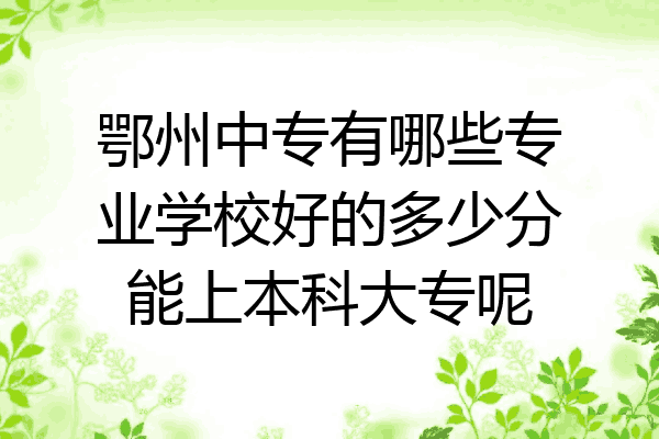 鄂州中专有哪些专业学校好的多少分能上本科大专呢