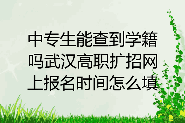 中专生能查到学籍吗武汉高职扩招网上报名时间怎么填