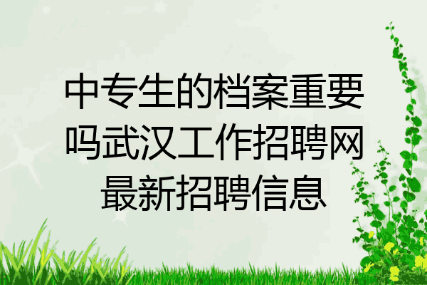 中专生的档案重要吗武汉工作招聘网最新招聘信息