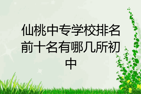 仙桃中专学校排名前十名有哪几所初中