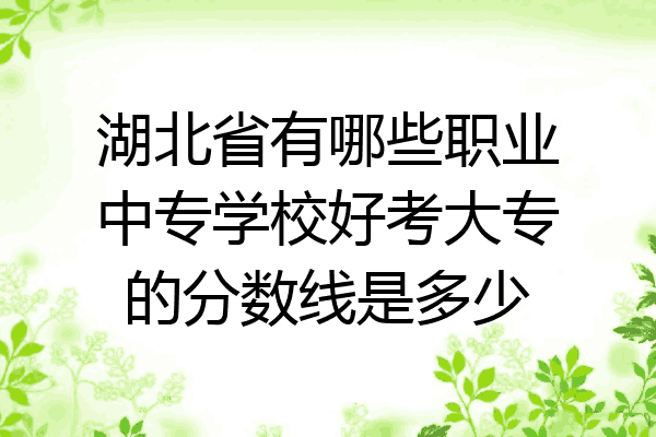 湖北省有哪些职业中专学校好考大专的分数线是多少