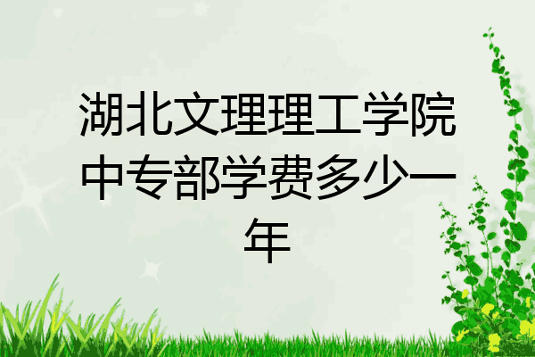 湖北文理理工学院中专部学费多少一年