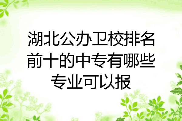 湖北公办卫校排名前十的中专有哪些专业可以报