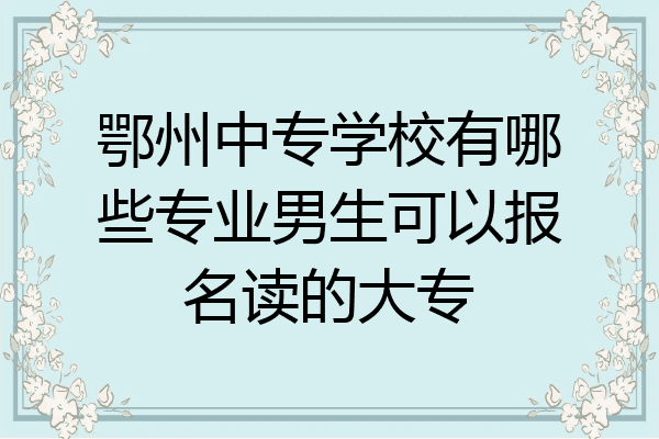 鄂州中专学校有哪些专业男生可以报名读的大专