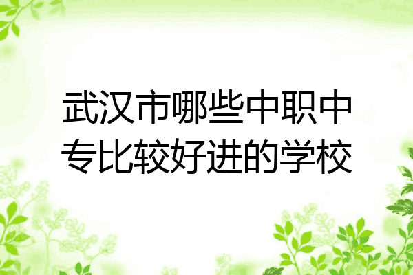 武汉市哪些中职中专比较好进的学校