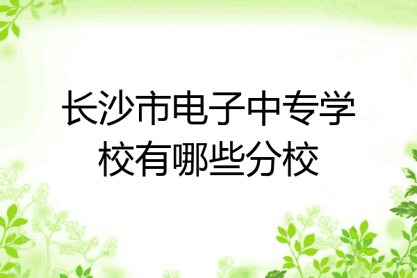 长沙市电子中专学校有哪些分校
