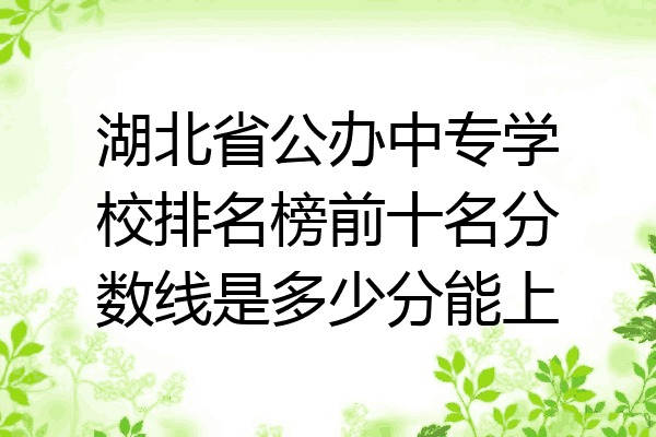 湖北省公办中专学校排名榜前十名分数线是多少分能上
