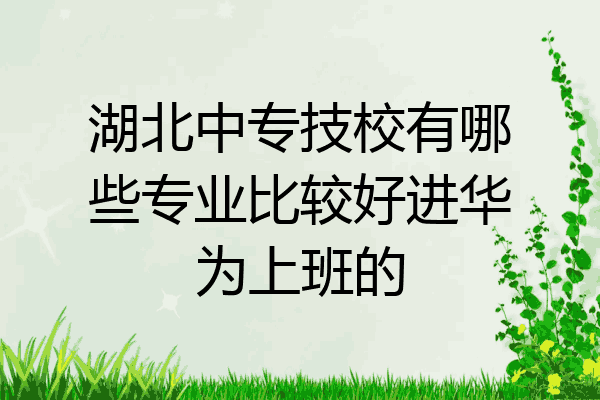 湖北中专技校有哪些专业比较好进华为上班的