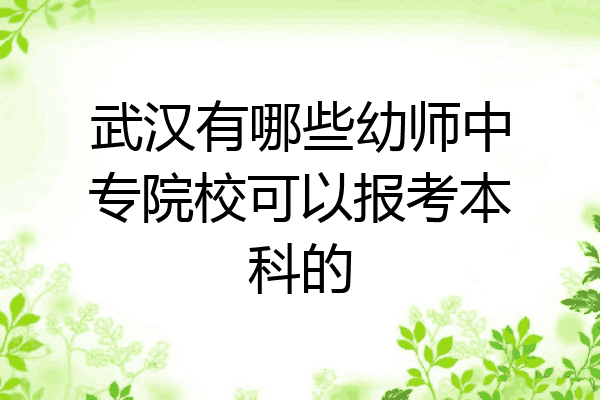 武汉有哪些幼师中专院校可以报考本科的