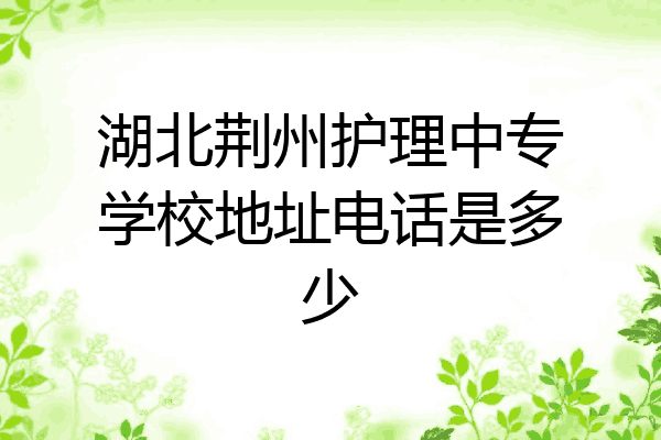 湖北荆州护理中专学校地址电话是多少