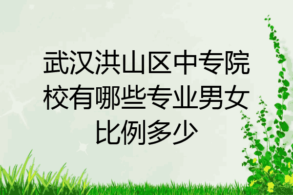 武汉洪山区中专院校有哪些专业男女比例多少