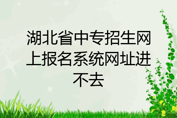 湖北省中专招生网上报名系统网址进不去