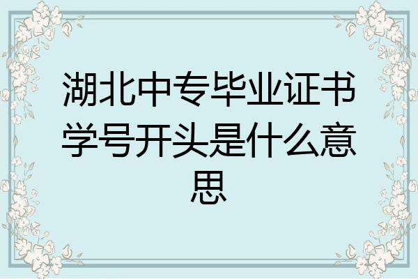 湖北中专毕业证书学号开头是什么意思