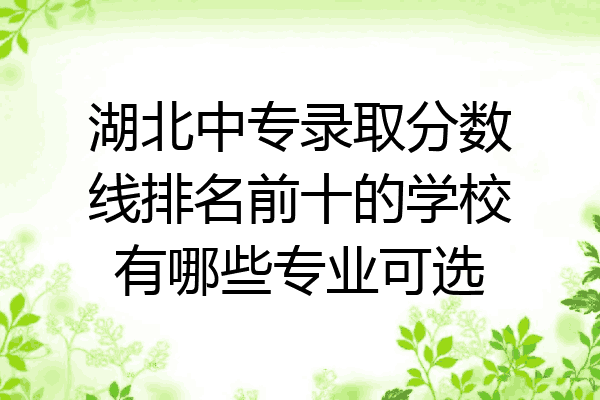 湖北中专录取分数线排名前十的学校有哪些专业可选