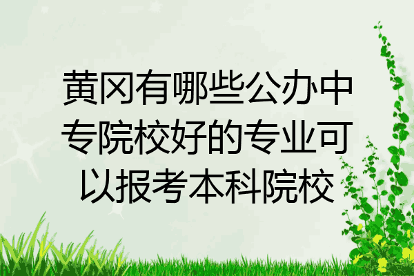 黄冈有哪些公办中专院校好的专业可以报考本科院校