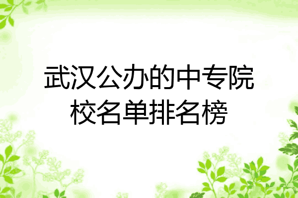 武汉公办的中专院校名单排名榜