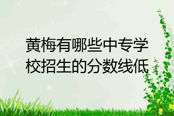 黄梅有哪些中专学校招生的分数线低