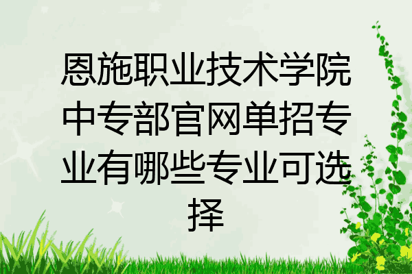 恩施职业技术学院中专部官网单招专业有哪些专业可选择