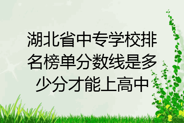 湖北省中专学校排名榜单分数线是多少分才能上高中
