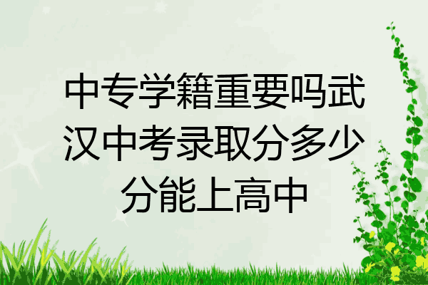 中专学籍重要吗武汉中考录取分多少分能上高中