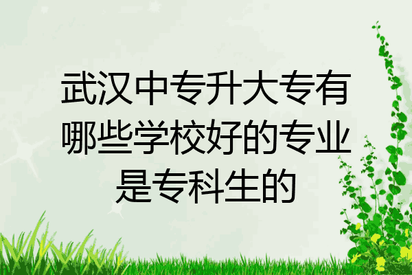武汉中专升大专有哪些学校好的专业是专科生的